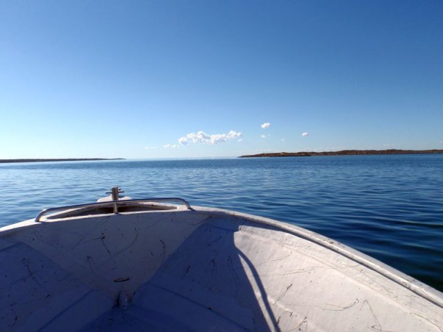 Shark Bay Glass